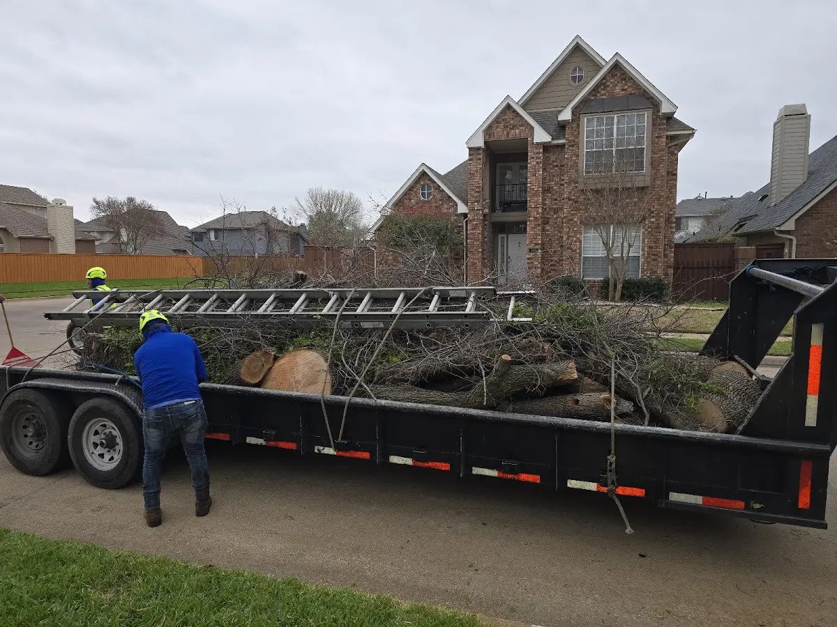 Expert Tree Fertilization with proper safety equipment in Ortley